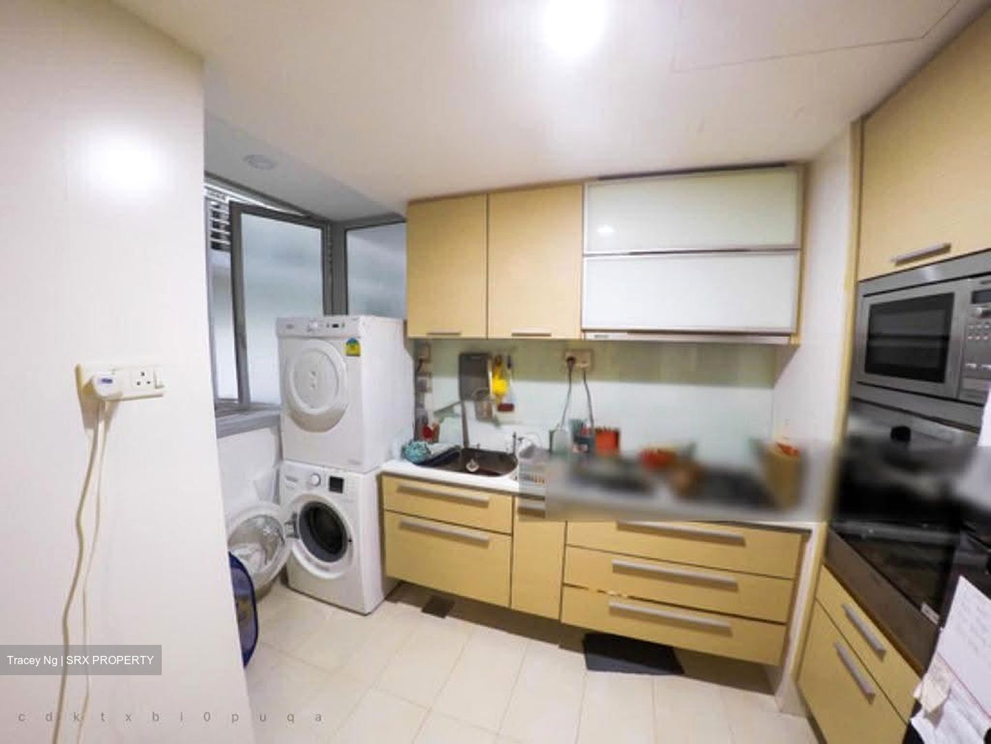 8 @ Mount Sophia (D9), Condominium #585498441